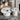 https://sc04.alicdn.com/kf/H8481505db85c406d9c01c261cb205631Y.png